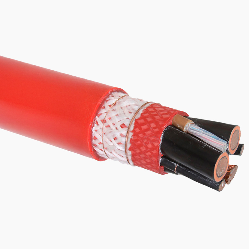 PROTOLON (SMK)-LWL (N)TSKCGEWOEU